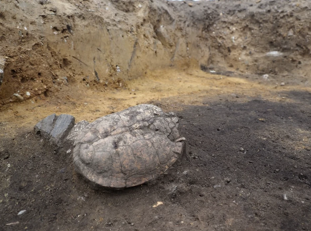 Đào đất xây sân vận động, chuyên gia kinh ngạc phát hiện di tích cổ