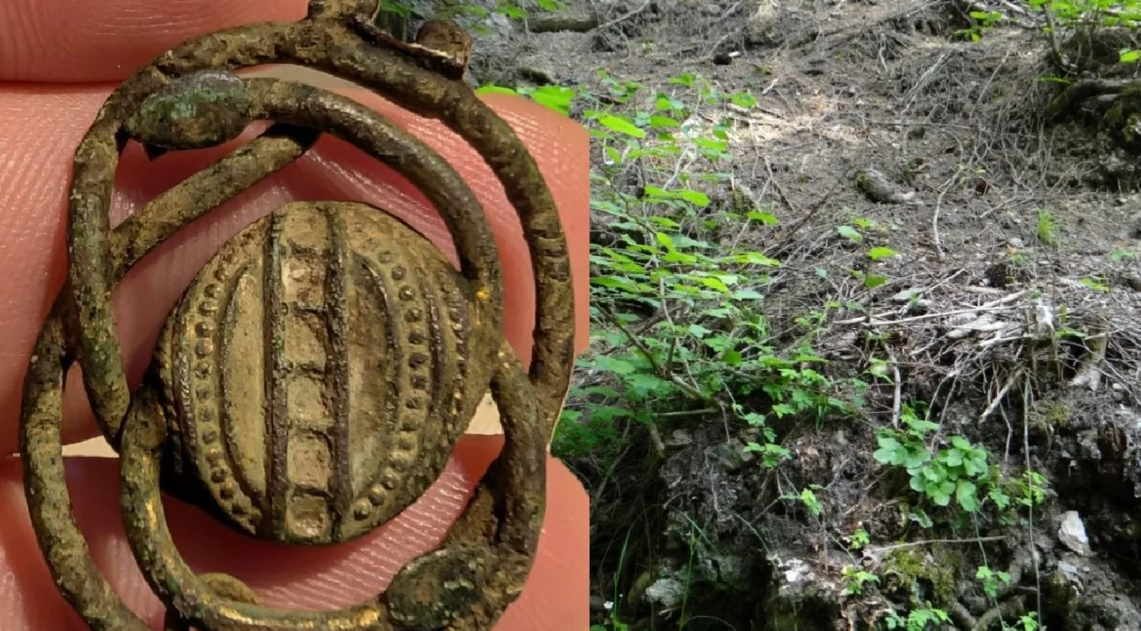 Bí ẩn biểu tượng hai con rắn và một cái thang thế kỷ 19