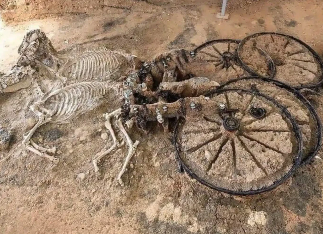 Khai quật khu mộ Hy Lạp cổ đại chứa hài cốt và xe ngựa 