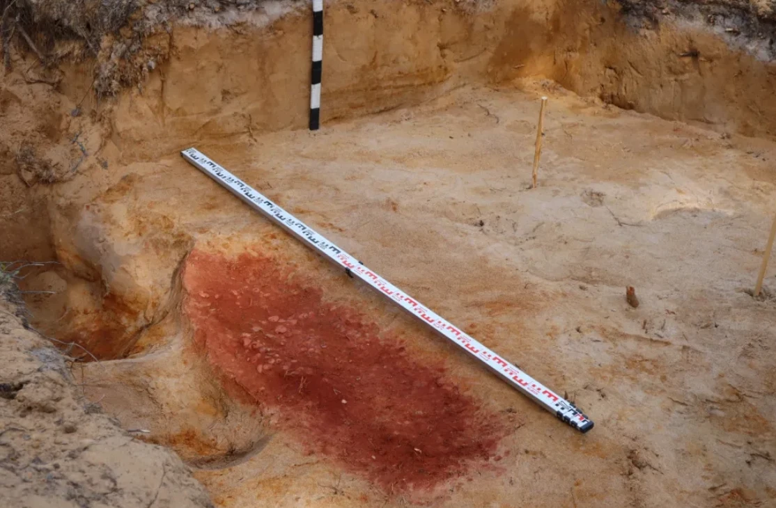 Đất son trong mộ cổ Phần Lan khiến chuyên gia sửng sốt