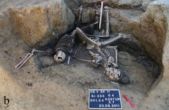 Bảy di hài binh sĩ La Mã hé lộ chiến tranh đẫm máu tại Croatia