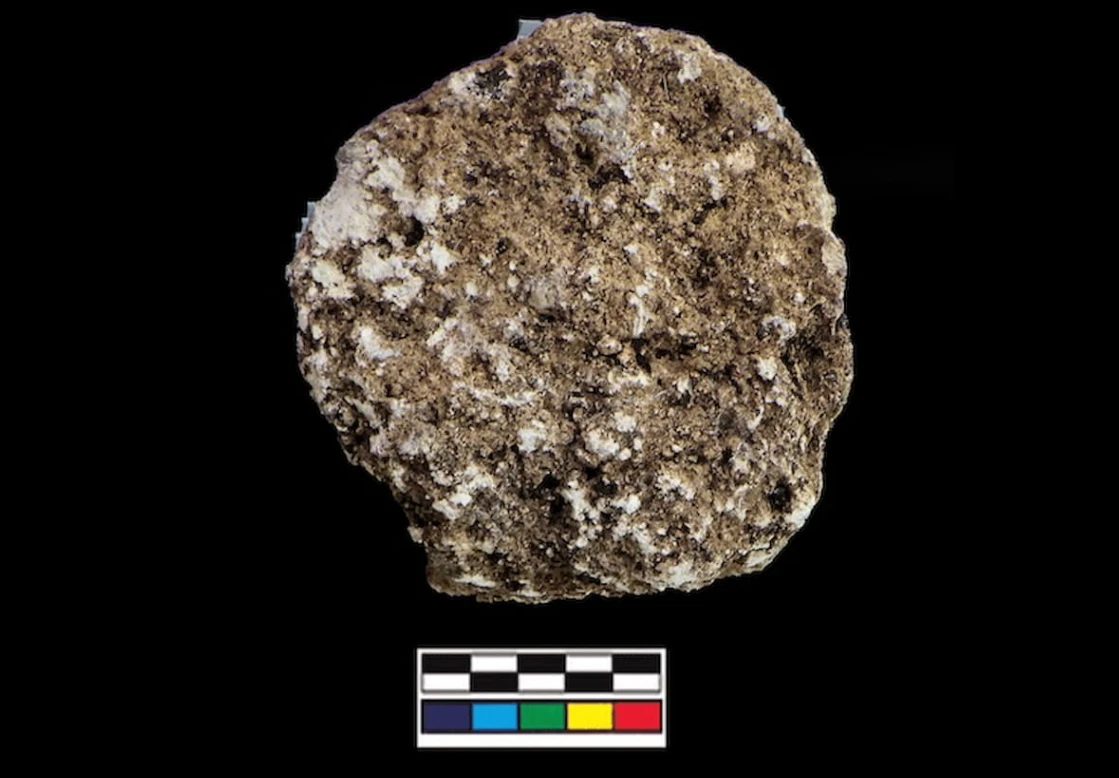 Bằng chứng nghề nuôi ong của người Maya?