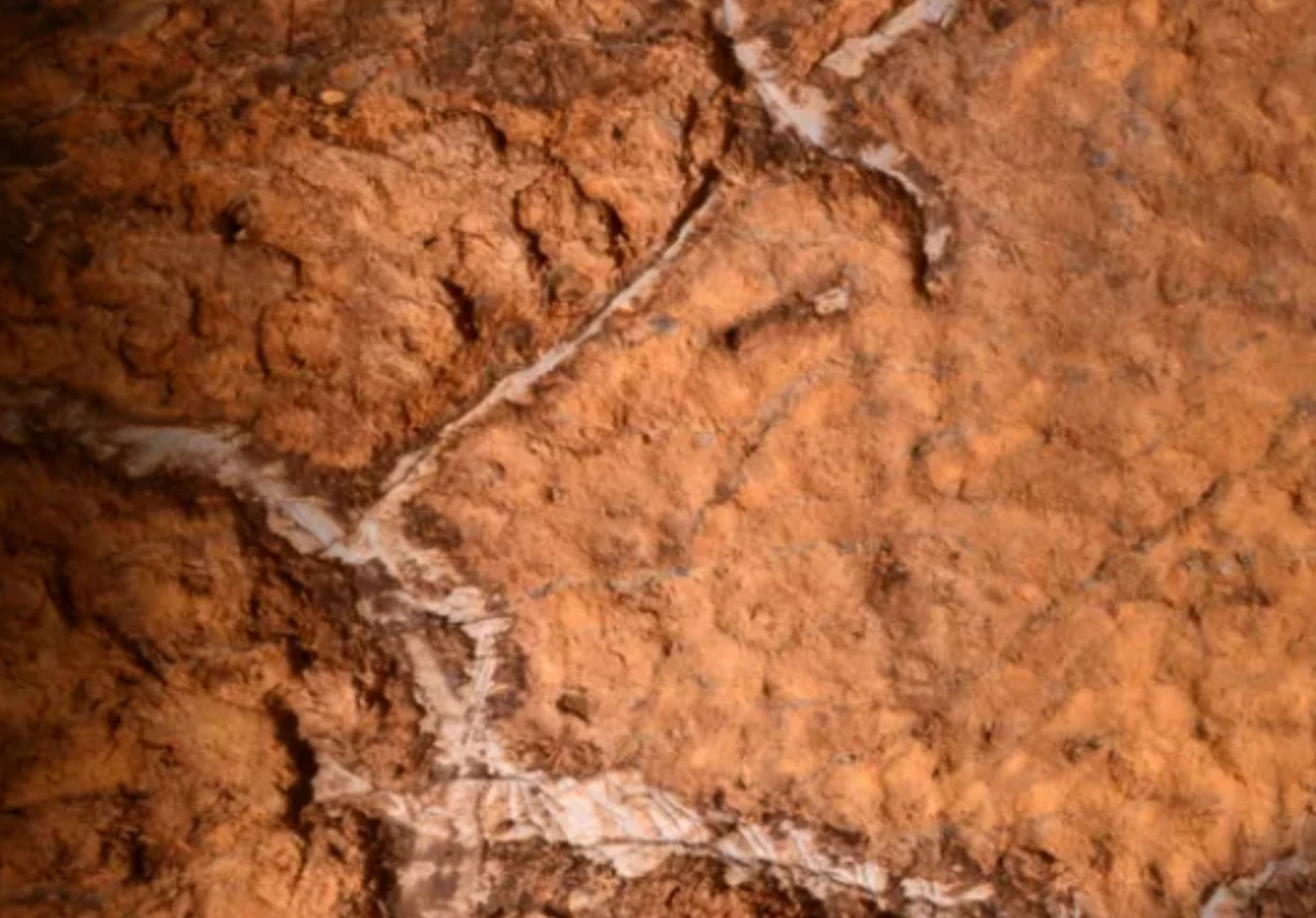 Hang động cổ ở Tây Ban Nha hé lộ bí ẩn 14.000 năm