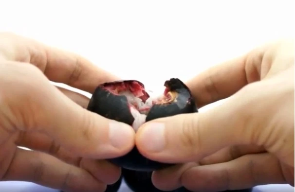 Mẹo bóc vỏ măng cụt nhanh gọn, không nát 