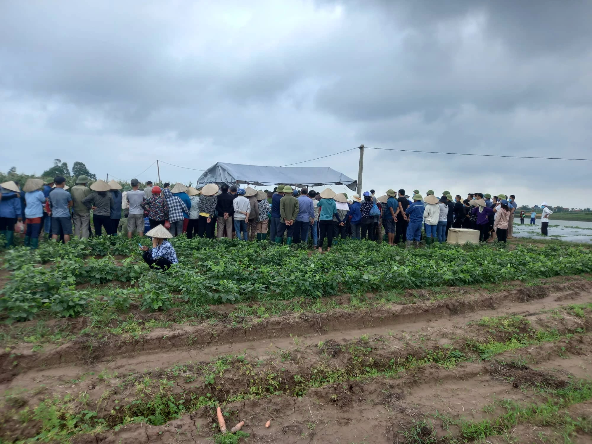 Vụ nữ giáo viên ôm 2 con nhảy sông Thái Bình: Chi tiết gây ám ảnh 