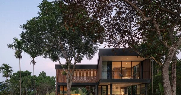 Mê mẩn với ngôi nhà thiết kế mở ra 360 độ thiên nhiên