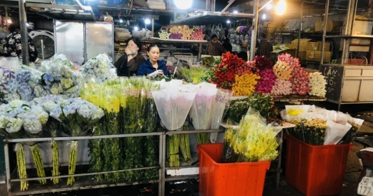 Gần Tết, chợ hoa lớn nhất Hà Nội vẫn đìu hiu dù giá giảm