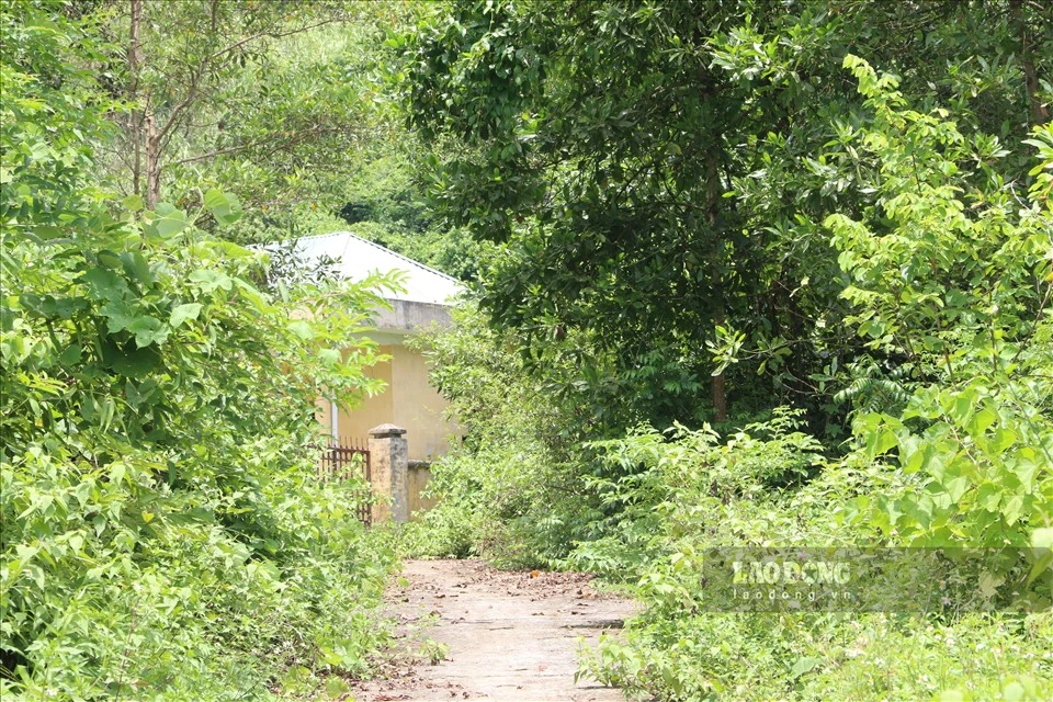 Dân khát nước sạch, công trình bể lọc nghìn tỷ vẫn bỏ hoang