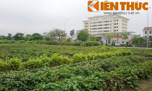 Soi khu “đất vàng” nơi tỉnh Hải Dương muốn xây trụ sở 2000 tỷ