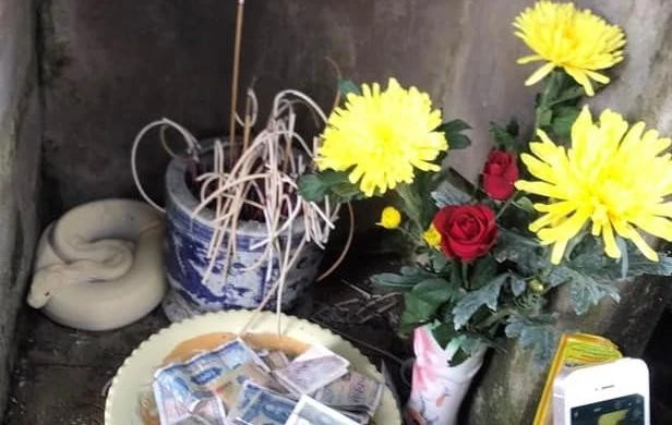 Tin nóng ngày 10/9: Sự thật “bạch xà” xuất hiện tại đình làng Bắc Giang