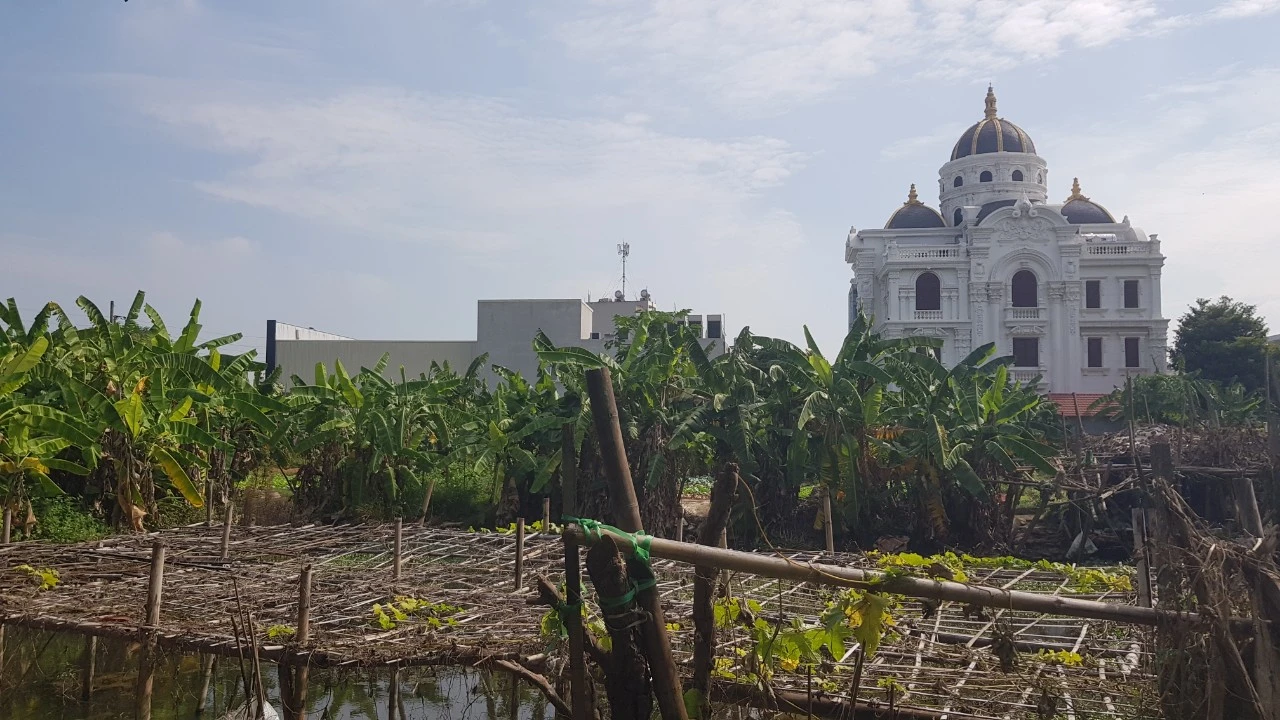 Hải Dương: Cận cảnh “khu đất vàng” đường Nguyễn Lương Bằng bị bỏ hoang nhiều năm