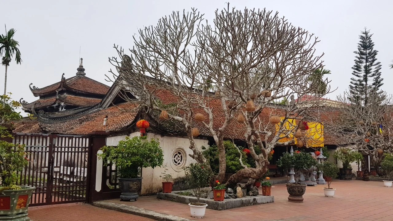 Hải Dương: Di tích quốc gia đặc biệt Chùa Giám đang xuống cấp nghiêm trọng