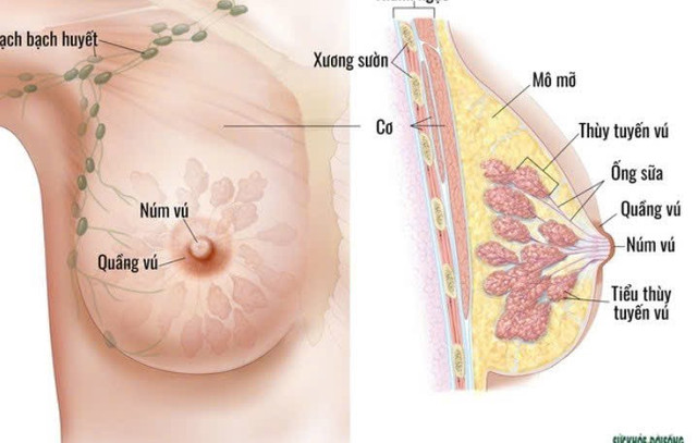 Ảnh minh hoạ/ Nguồn: Internet 3.jpg