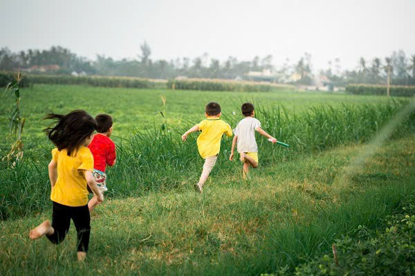 Ảnh minh họa/ Nguồn Internet 2a.jpg