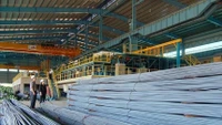 Thép Tiến Lên thoát lỗ quý đầu năm nhờ lãi chênh lệch tỷ giá
