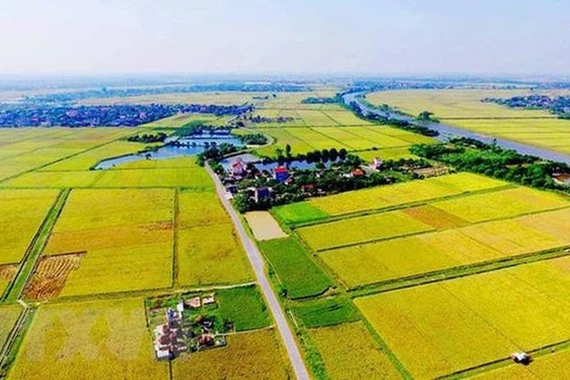 Loạt chính sách về đất nông nghiệp, tiền lương có hiệu lực năm 2026