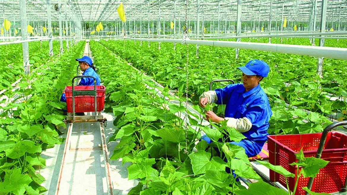 [VIDEO] Doanh nghiệp Việt đối mặt rào cản bao bì tái chế từ EU