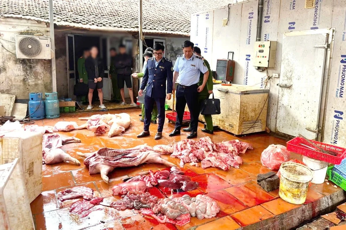 [VIDEO] Hưng Yên phát hiện gần một tấn thịt heo nhiễm dịch tả châu Phi