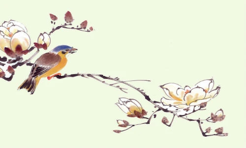 Gặp điềm này trong tháng Giêng, ắt cả năm "ăn sung mặc sướng"