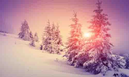 Dự đoán ngày mới 15/12/2017 cho 12 con giáp