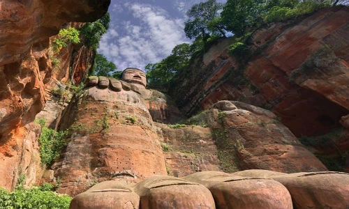 Rừng già 135 triệu tuổi mê hoặc du khách năm châu