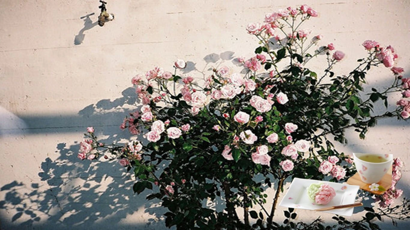 Dự đoán ngày mới 10/02/2018 cho 12 con giáp