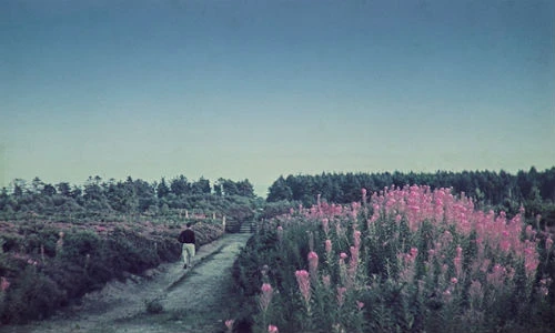 Ngắm nước Anh năm 1939 bình yên đến nao lòng