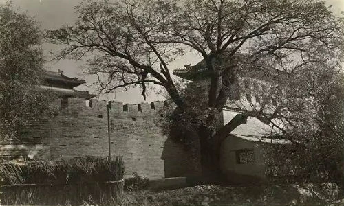 Thành cổ Bắc Kinh xưa qua ống kính người Đức 