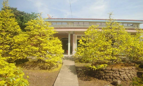 Ngắm vẻ đẹp 'hút mắt' của làng mai tiền tỉ ngày đầu năm 