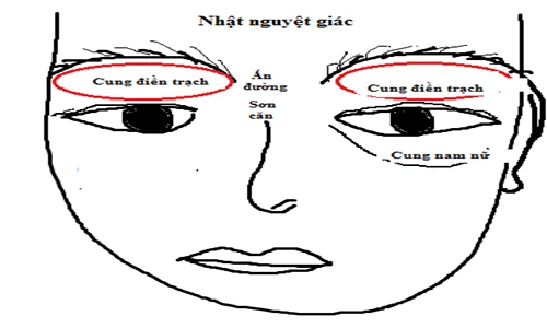 Xem cung điền trạch bói chuẩn tử vi trọn đời 