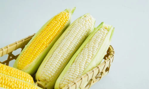 Hóa ra xưa nay chúng ta đều chế biến ngô sai cách