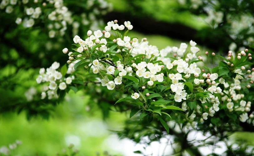 Dự đoán ngày mới 19/02/2018 cho 12 con giáp