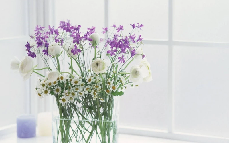 Dự đoán ngày mới 30/01/2018 cho 12 con giáp