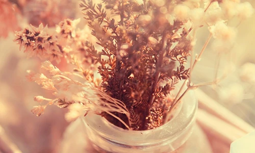 Cắm hoa khô, hoa giả có phạm cấm kỵ phong thủy?