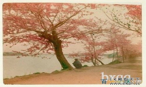 Ảnh màu đẹp về Nhật Bản dưới thời Thiên Hoàng Minh Trị