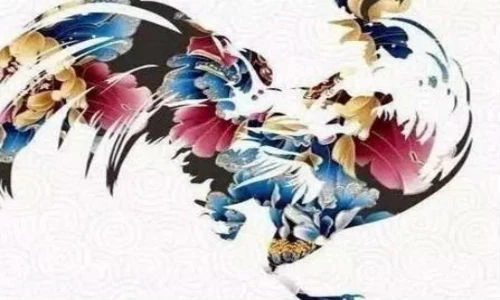 Hóa giải phạm Thái Tuế thế nào trong năm Đinh Dậu 2017? 