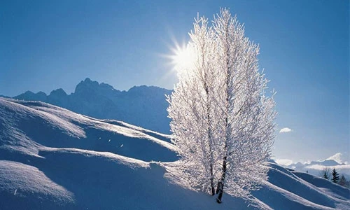 Hóa ra chúng ta đều mặc sai cách khiến mùa Đông thêm lạnh