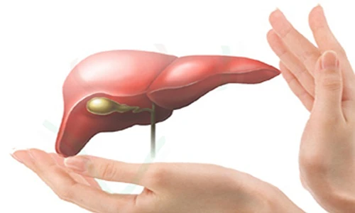 Thức khuya thường xuyên, cho thứ này vào nước uống giúp bảo vệ gan