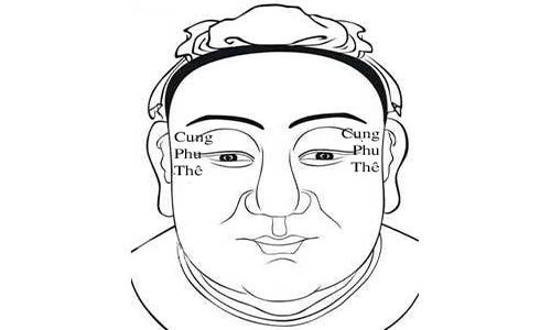 Nhìn cung phu thê bói hôn nhân, tài vận trọn đời