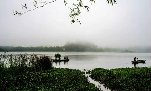 Cảnh đẹp tuyệt vời, kỳ bí ở rừng Nam Cát Tiên