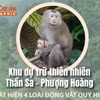[INFOGRAPHIC] Khám phá Khu dự trữ thiên nhiên Thần Sa - Phượng Hoàng 