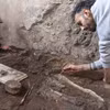Giải mã hai bộ xương động vật ở Pompeii hé lộ cái chết bi thảm