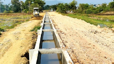 Công ty Khang Lộc Cát Tiên và những gói thầu “một mình một ngựa”