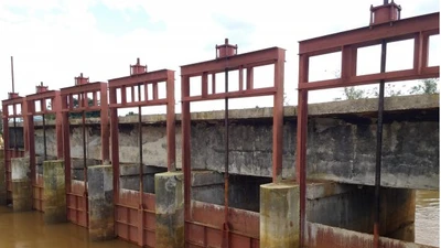 Công ty Trung Hiếu 'một mình một ngựa' trúng gói thầu 1,57 tỷ tại Công ty Khai thác CTTL Đắk Nông