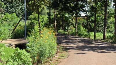Cty Minh Nhật trúng liên tiếp 3 gói thầu tại Bình Phước