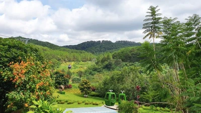 Sài Gòn - Lâm Đồng: 6 tháng lỗ khủng 142,5 tỷ, vốn chủ sở hữu 'bốc hơi' 81%