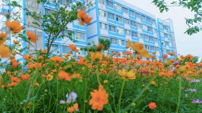 "Soi" hồ sơ đấu thầu của Công ty Thiên Phương năm 2025