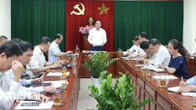 Chủ tịch UBND tỉnh Võ Tấn Đức phát biểu kết luận buổi làm việc. Ảnh: Phạm Tùng