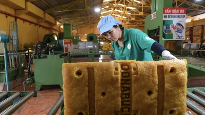 Donaruco đặt kế hoạch lợi nhuận 2025 đi lùi, thu nhập 2024 bình quân NLĐ 14 triệu đồng/tháng