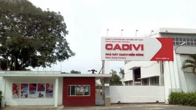 Đồng Nai: Đình chỉ hai nhà máy của Cadivi Miền Đông, phạt gần 900 triệu đồng